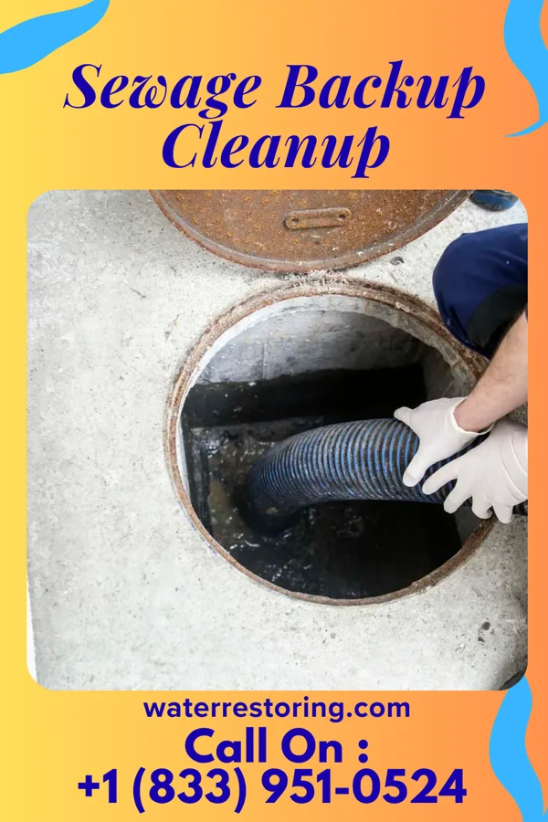 Sewage Backup Cleanup in Vandemere, NC